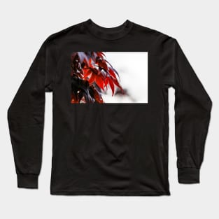 Red maple leaves in sunlight Long Sleeve T-Shirt